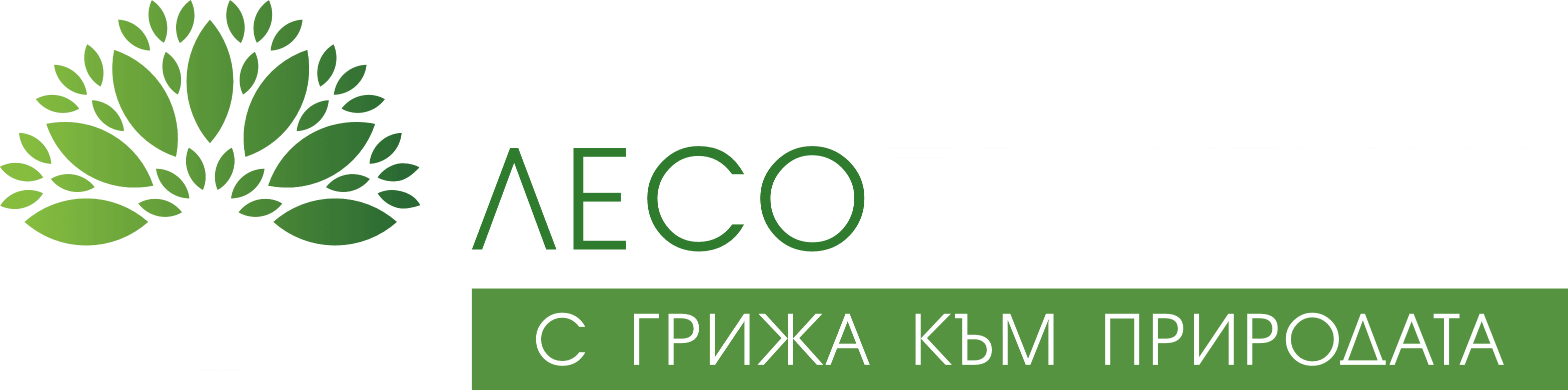 lesopraktika.com