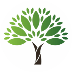 cropped-icon-1.png cropped-icon-1.png